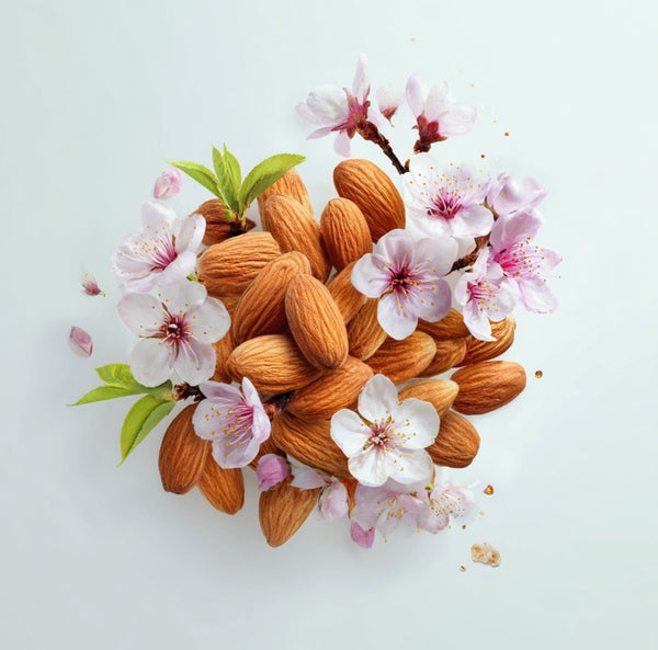 Sweet Almond Oil