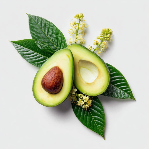 Avocado Oil